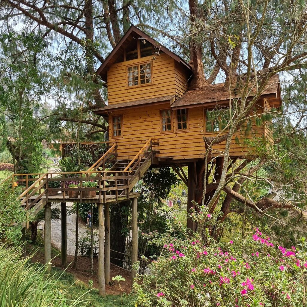Casas de árbol en Europa